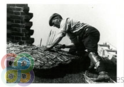 TH\CT\PI\PC\10504_th.jpg; 10504; ;